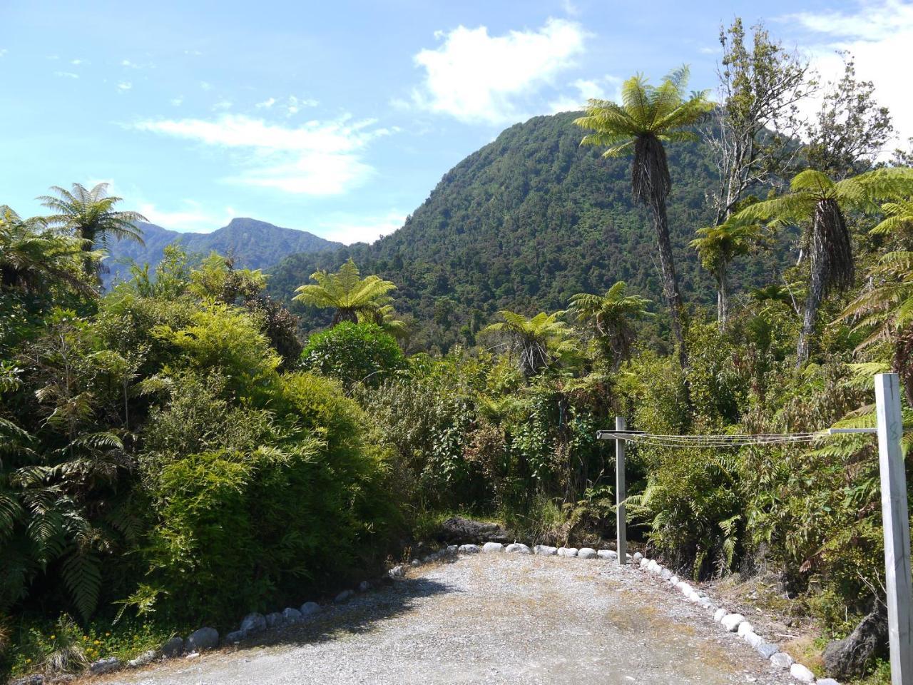 Franz Josef Treetops Exterior photo